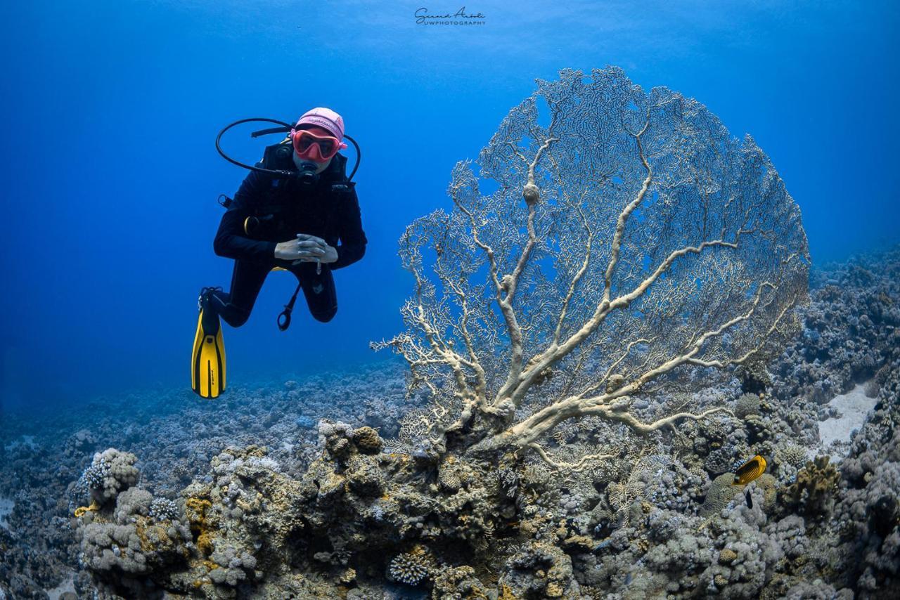 Bait Alaqaba Dive Center & Resort Εξωτερικό φωτογραφία